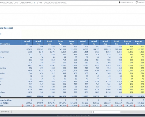 Department Revenue and Expense Forecast Form