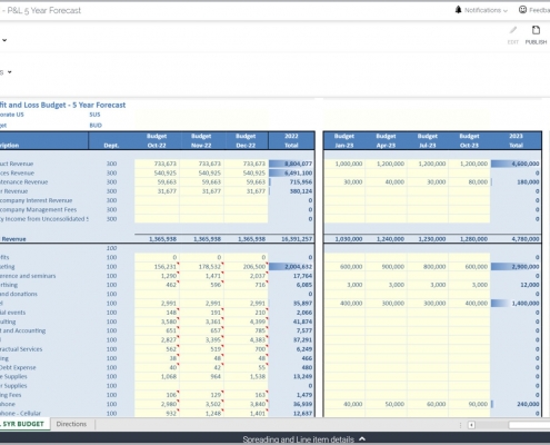 Multi-Year Forecast Input Template Example