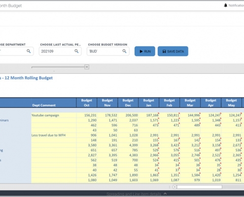 Rolling 12 Month Budget Input Form Example