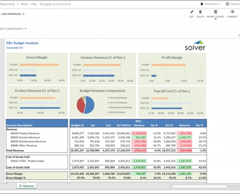 Profit & Loss Budget Analysis Report Example