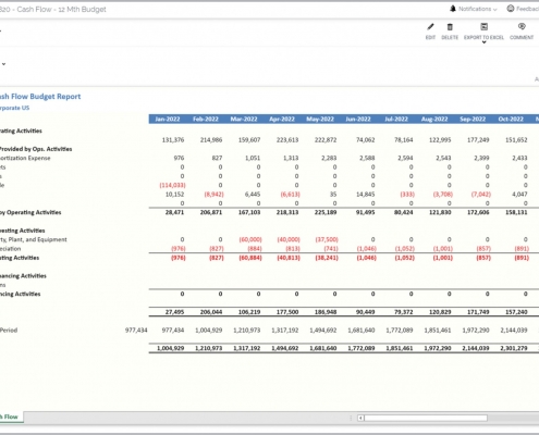 Cash Flow Budget Report Example